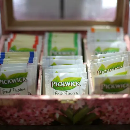 Hillside House 度假居