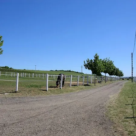 Hillside House Vakantiehuis Eger